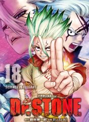 Dr. Stone