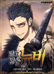 Worn and Torn Newbie